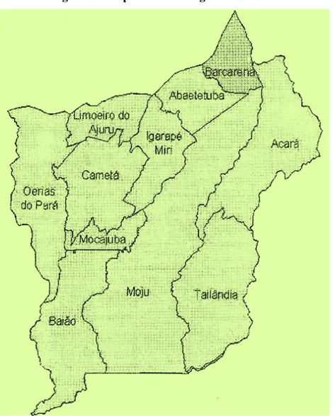 Figura 2 – Mapa da Microrregião de Cametá 