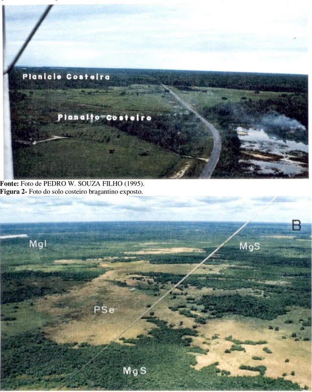 Figura  1:  Foto  do  impacto  antrópico  causado  pela  construção  da  estrada  sobre  o  manguezal  bragantino,  queimadas e solo exposto.