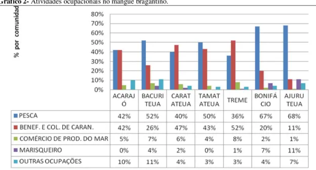 Gráfico 2- Atividades ocupacionais no mangue bragantino. 