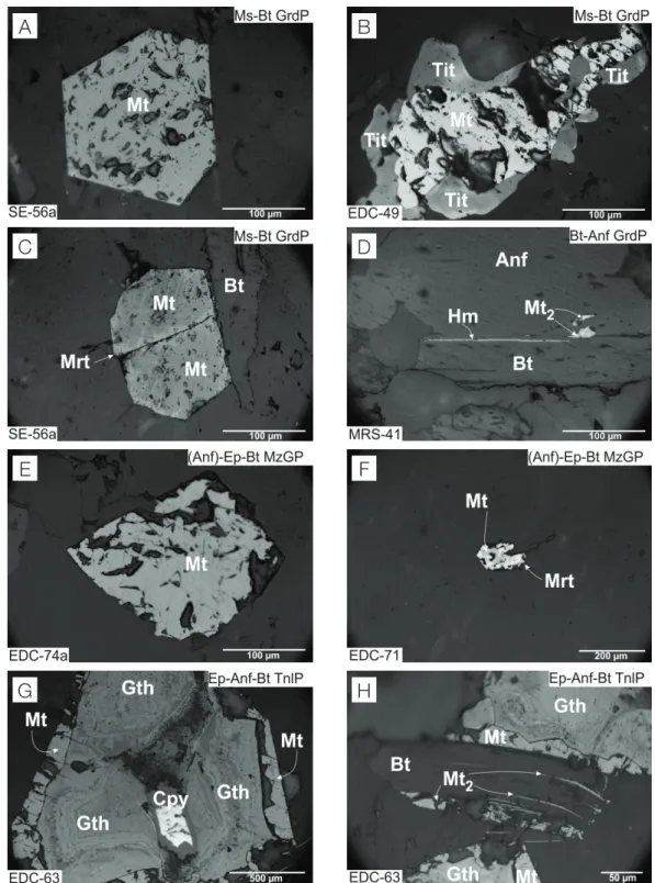 Figura 7. Fotomicrografia (luz refletida e nicóis paralelos) dos minerais óxidos dos granodioritos Água Azul (GrdAA) e Água  Limpa (GrdAL), exibindo seus principais aspectos texturais: (A) magnetita (Mt) automórfica inclusa em feldspato, GrdAL; 