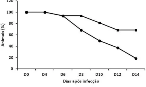 Figura 6. Taxa de  sobrevida de animais infectados com  Plasmodium gallinaceum tratados  (■) ou não (●) com aminoguanidina