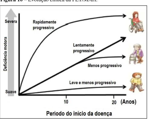 Figura 10  –  Evolução clínica da PET/MAH. 