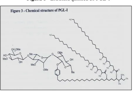 Figura 8 - Estrutura química do PGL-1                          