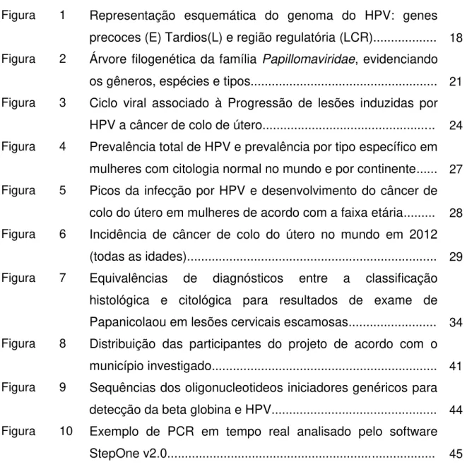 Figura   1   Representação  esquemática  do  genoma  do  HPV:  genes  precoces (E) Tardios(L) e região regulatória (LCR).................