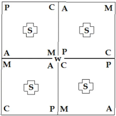 Figura 1. Diagrama esquemático dos aquários, ao centro do conjunto localiza-se a câmera 180 