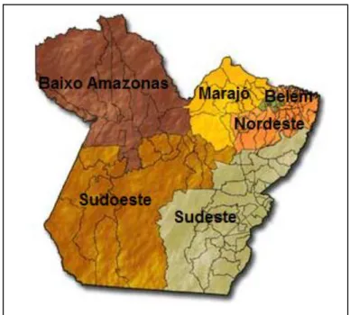 Figura 3.2 - Estado do Pará dividido em Mesorregiões  Fonte: IBGE (2011) 