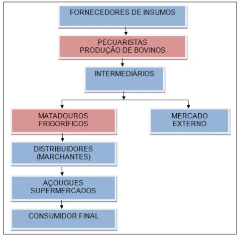 Figura 3.3  –  Simplificação da cadeia produtiva da carne bovina 