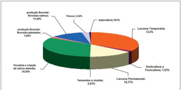 Figura 4.1 -  Porcentagem da pecuária na atividade econômica da agropecuária no Pará  Fonte: IBGE (2009) apud Scot Consultoria (2010) 
