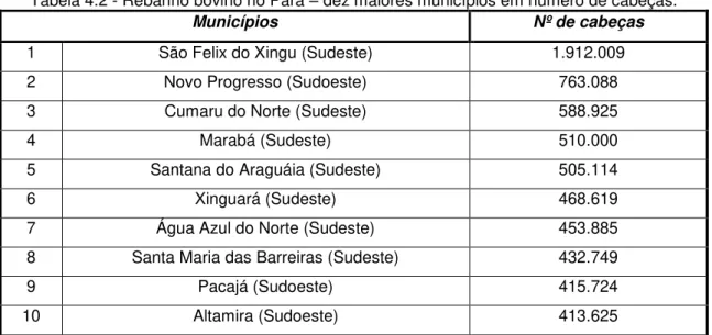 Tabela 4.2 - Rebanho bovino no Pará  –  dez maiores municípios em número de cabeças. 