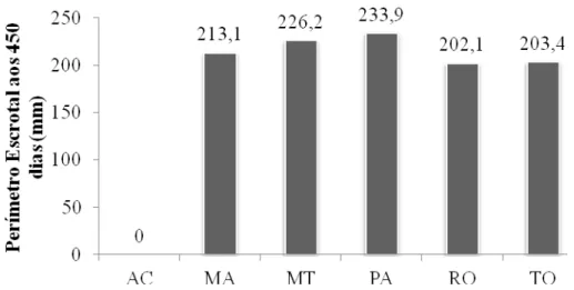 Figura 3. Representação gráfica das médias de Perímetro Escrotal de machos da raça Nelore  dos Estados compreendidos na Amazônia Legal 
