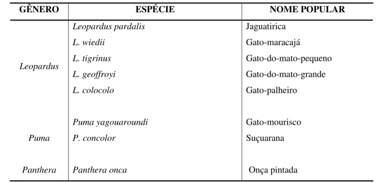 Tabela 1  –  Novo arranjo taxonômico dos felídeos neotropicais pertencentes a fauna brasileira