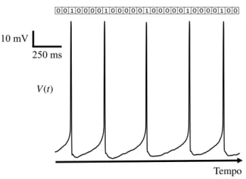 Figura 1: Registro eletroﬁsiológico in vitro de uma célula pi- pi-ramidal do hipocampo do rato estimulada por uma injeção de corrente constante (I = 260 pA) aplicada ao corpo celular (soma), mostrando parte do trem de disparos gerado pela célula.