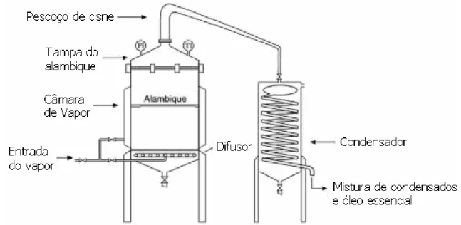 Figura 1 Destilador em escala piloto