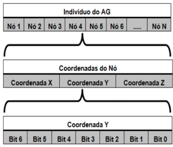 Figura 13 - Configuração do Indivíduo do AG 