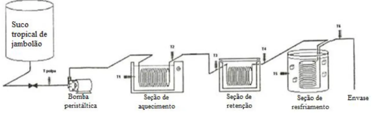 Figura 5. Sistema de pasteurização tubular. 