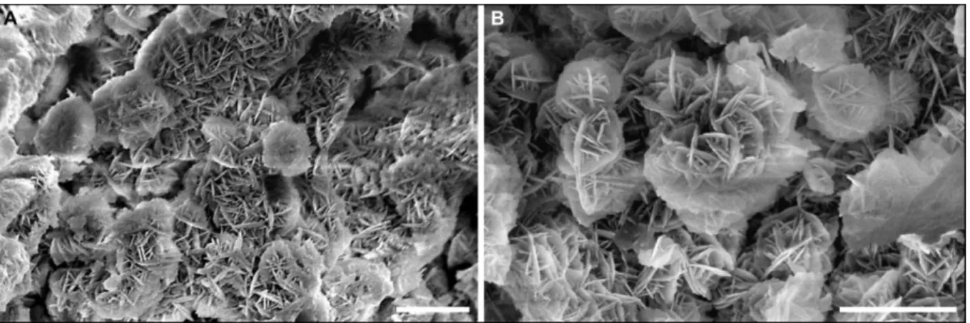 Figure  4:  A,  B  -  Pseudomorphs  of  gypsum  or  barite  included  in  orange  opals