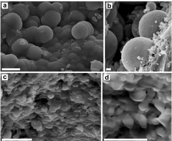 Fig. 2 Silica spheres that forming the internal structure of Pedro II (a, b) and Buriti dos Montes (c, d) opals in  SEM images obtained in fresh surfaces of opal samples