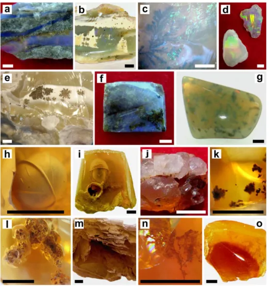 Fig. 4 Main types of solid inclusions in samples of precious (a-g) and orange opals (h-o)