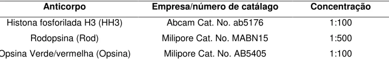 Tabela 1: Anticorpos primários utilizados nas imunofluorescências, Nº. de catálogo e  concentração utilizada.