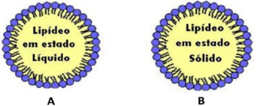 Figura 7: A: Representação de Nanoemulsões; B: Nanopartículas Lipídicas. Fonte: Guimarães e Ré