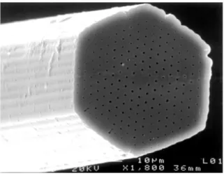 Figura 1.2 - Foto de microscópio da primeira PCF fabricada [12, 13]. 