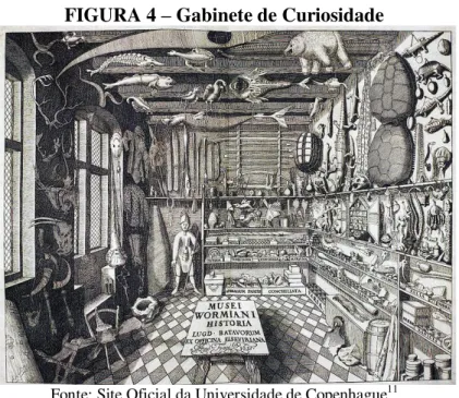 FIGURA 4  –  Gabinete de Curiosidade