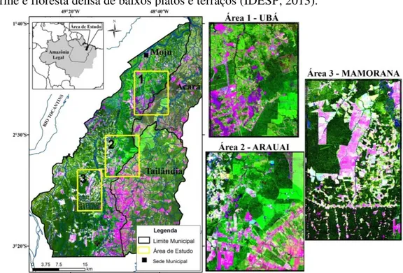 Figura 3.1 - Localização da área de estudo com o recorte das áreas Ubá, Arauaí e  Mamorana, na região de Moju, utilizando-se imagem Landsat-8, ano 2013