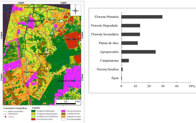Figura 3.2 - Classes de uso da terra e cobertura vegetal em Ubá, região de Moju, em 2013