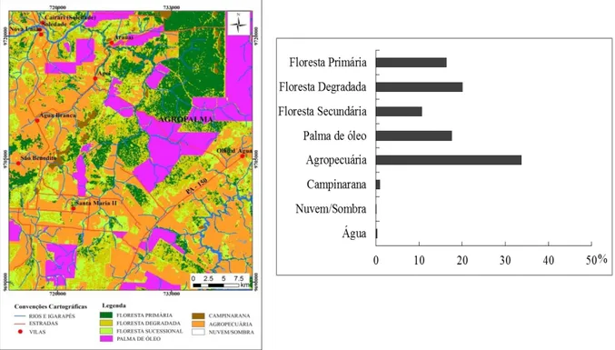 Figura 3.3 - Classes de uso da terra e cobertura vegetal em Arauai, região de Moju, em 2013