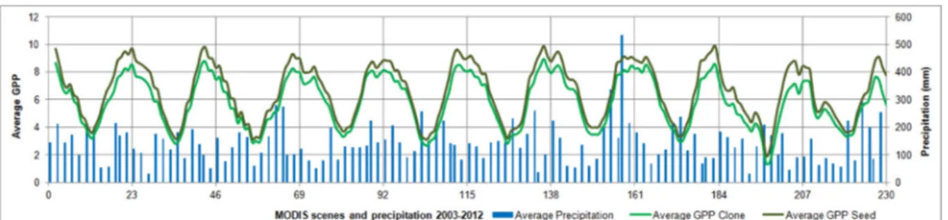 Figure 9 - Average CPG in the clonal and seed plots and its relationship to the cumulative monthly precipitation  between 2003-2012.