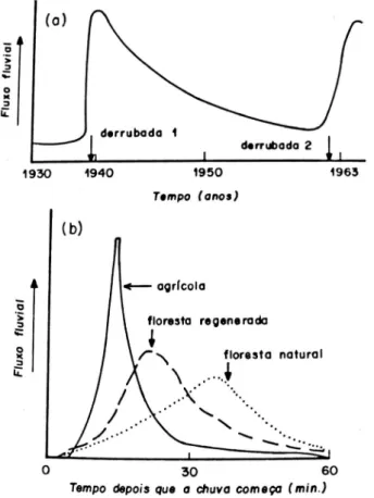 Figura 1 - Efeitos do desmatamento no fluxo de um rio. Em (a) alteração do fluxo fluvial após o desmatamento