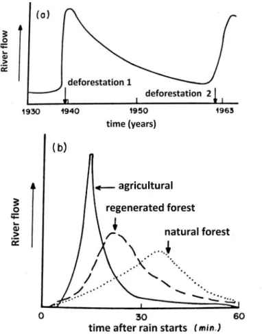 Figure 1 - Effects of deforestation on the flow of a river. In (a) change of river flow after deforestation