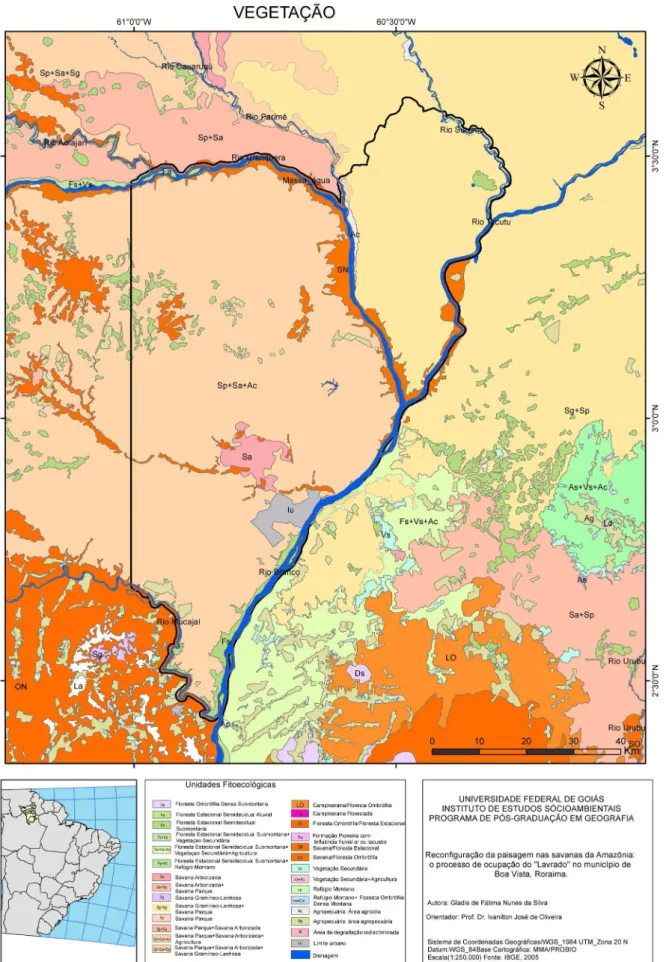 Figura 4 - Mapa da vegetação do município de Boa Vista (RR) e entorno