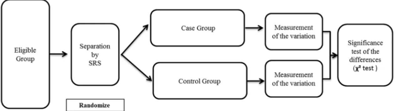 Figure 2. Field experiment stages to compare frequency distribution between random groups.