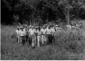 Figura 8 – Trabalhadores rurais. Cinejornal Atualidades Agência Nacional n.8 (1963),  07min.30segs