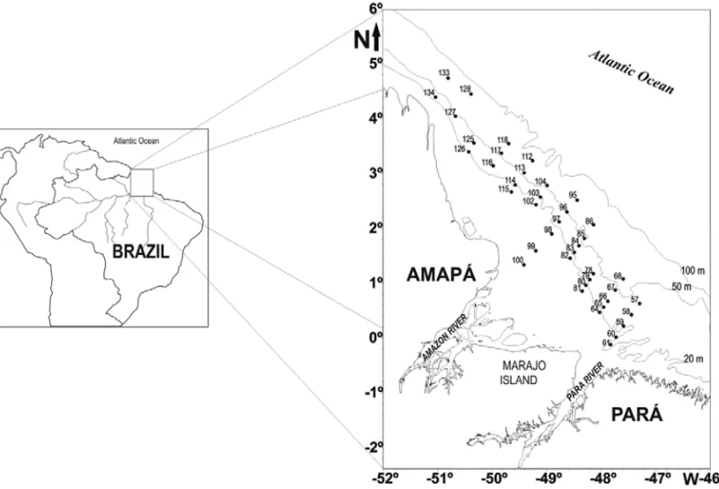 Fig. 1 – Map of the study area, showing the stations sampled during Operation North IV (Brazilian REVIZEE Program).