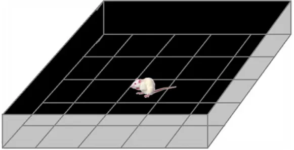 Figura 6  –  Desenho ilustrativo da arena utilizada para o teste do Campo Aberto. 