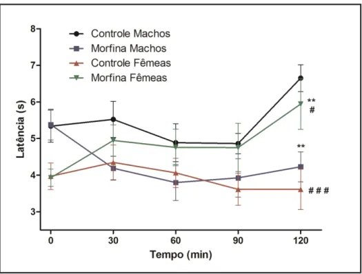Figura 12- Teste da placa quente. Comportamento de dor pelo estímulo nociceptivo térmico (55 ±  0,5ºC) da prole de mães tratadas com morfina (10mg/Kg/dia) ou solução salina (0,1mL/Kg/dia) na  fase pré-natal e lactação em camundongos