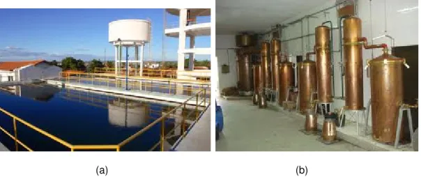Figura 2.7 : Sistemas de Bombeamento em indústrias (a) Sistema de Saneamento e (b) Destilaria