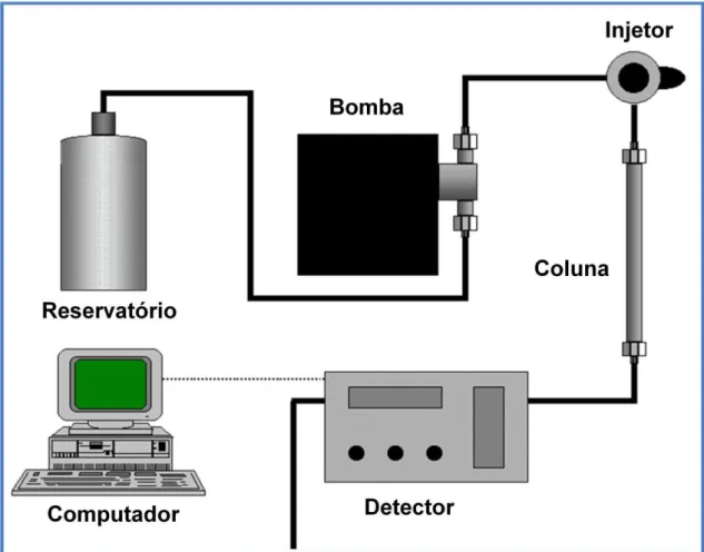 Figura  5:  Sistema  de  CLAE  composto  por  reservatório,  bomba,  injetor,  coluna,  detector e microcomputador