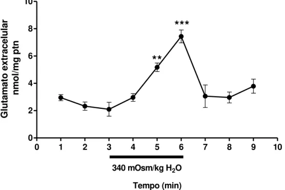 Figura 8: Efeito do meio hipertônico sobre os níveis de glutamato. A barra com valor  da  osmolalidade  de  340  mOsm/Kg  H 2 O  representa  o  período  (tempo  3  minutos)  em  que o hipotálamo foi exposto a hiper osmolalidade