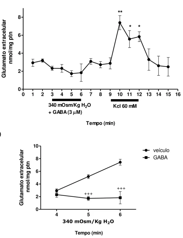 Figura  10:  Efeito  do  GABA  sobre  a  elevação  dos  níveis  de  glutamato  induzido  por  hiperosmolalidade
