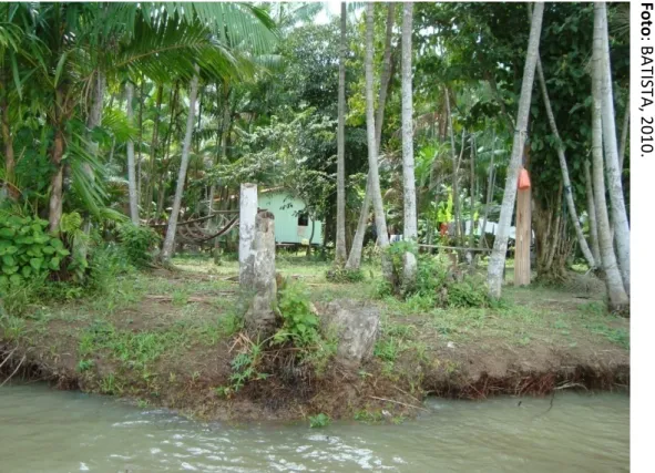 Figura  02:  Área  nativa  de  açaizeiros  presentes  na  Ilha  do  Combu,  registrada  por  Batista, durante a pesquisa de campo, em 2010