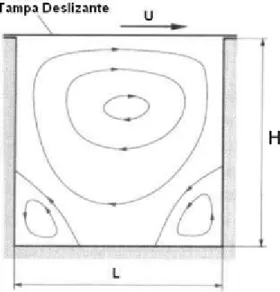 Figura 4 ! Configuração do escoamento em uma cavidade quadrada sob ação de uma tampa deslizante 