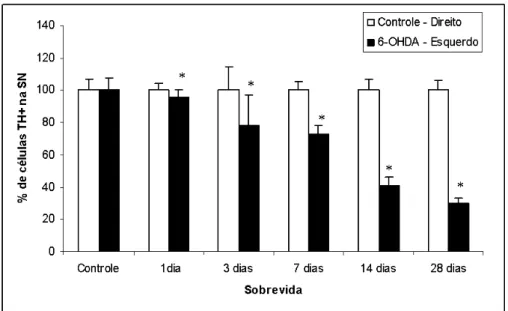Figura 6: Células TH-positivas na substância negra de animais injetados com solução de 10 µg de  6-OHDA  no  estriado  esquerdo  ou  com  solução  salina  (controle)