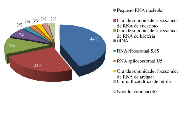Figura 6 – Função dos ncRNA identificados no transcriptoma de pimenta do reino.