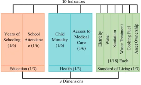 FIGURE 5  DIMENSIONS, INDICATORS AND WEIGHT OF MPI