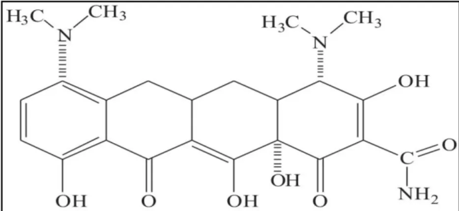 Figura  8:  Estrutura  química  da  minociclina.  Nomenclatura  IUPAC:  2-(amino-hidroxil- 2-(amino-hidroxil-metilideno)-4,7-bis  (dimetilamino)-10,  11,12a-trihidroxi-4a,  5,  5a,   6-tetrahidro-4H-tetraceno-1, 3,12-triona