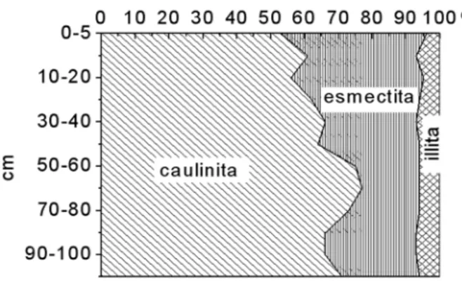 Figura 4 - Distribuição dos minerais de argila nos  setores A e B do estuário do  rio Marapanim.
