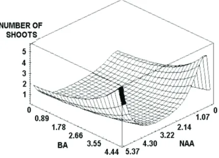 Figure 1 – Surface response model of number of shoots obtained from nodal segments of Maclura tinctoria as a function of different concentrations of NAA (µM) and BAP (µM).